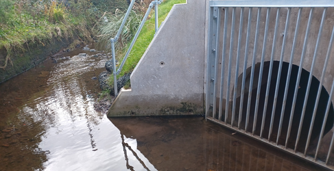 New overflows will be installed and existing ones upgraded Improving Urban Waters Launch