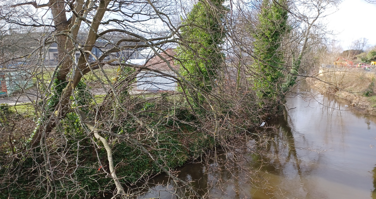 Murrayfield Corstorphine Road