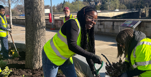 Volunteers brighten up Tay Street in Perth by planting flowers and shrubs along the riverfront. A group of volunteers wearing high-visibility vests are planting flowers and shrubs in an urban green space. One woman in the foreground is smiling while using a trowel, while another is placing a plant into the soil. Other volunteers are working in the background near a tree, with a river, bridge, and walkway visible behind them.