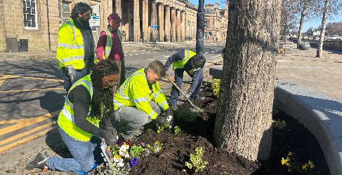 Volunteers work together to plant flowers and greenery along Tay Street in Perth. A group of volunteers wearing high-visibility vests are planting flowers and greenery around a tree in an urban setting. Some are kneeling in the soil carefully arranging plants, while others stand nearby. The background features a historic stone building and a clear blue sky, highlighting the community effort to enhance the space.