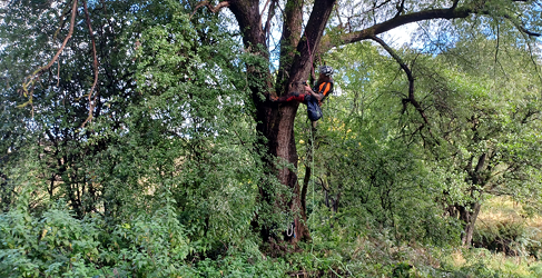 University Hospital Monklands