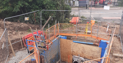 Construction avoided damaging the wood itself Lord Ancrum Woods IUW