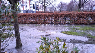 The rising sewer main has burst many times over recent years Kings Inch Road Sewer Upgrade