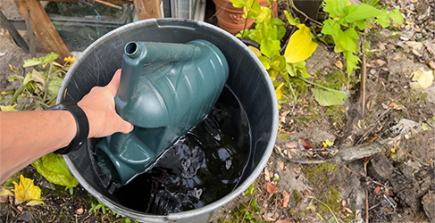 Julianne Robertson Save Water in the Garden blog 3 unknown person filling a watering can from a water butt in the garden