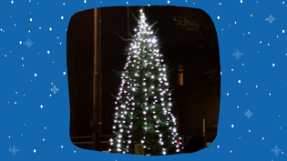 151222 Ibrox Tree 317 x 177 Image of Christmas tree surrounded by cartoon snow