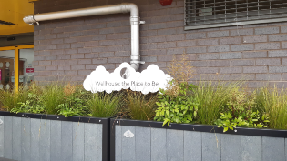 Rain garden at Wellhouse