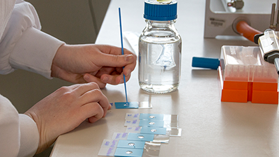 Working in Lab