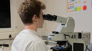 Looking through microscope